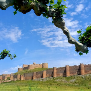 Castillo De Berlanga