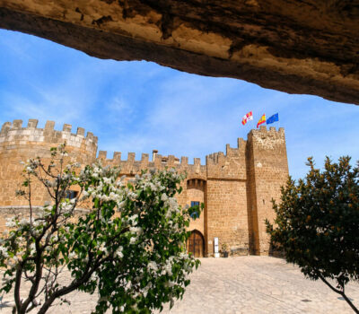 Castillo De Monteagudo De Las Vicarías